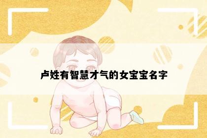 卢姓有智慧才气的女宝宝名字