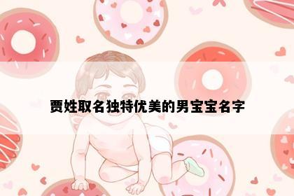 贾姓取名独特优美的男宝宝名字