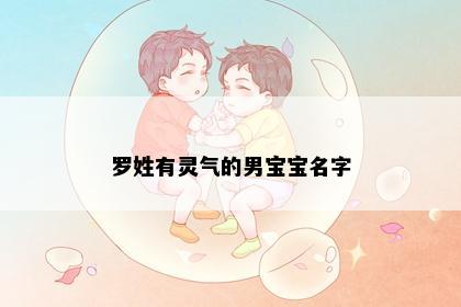 罗姓有灵气的男宝宝名字