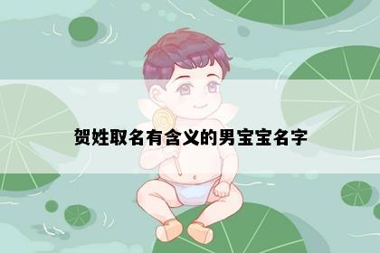 贺姓取名有含义的男宝宝名字
