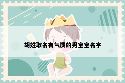 胡姓取名有气质的男宝宝名字