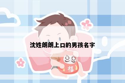 沈姓朗朗上口的男孩名字