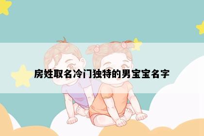 房姓取名冷门独特的男宝宝名字