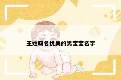 王姓取名优美的男宝宝名字